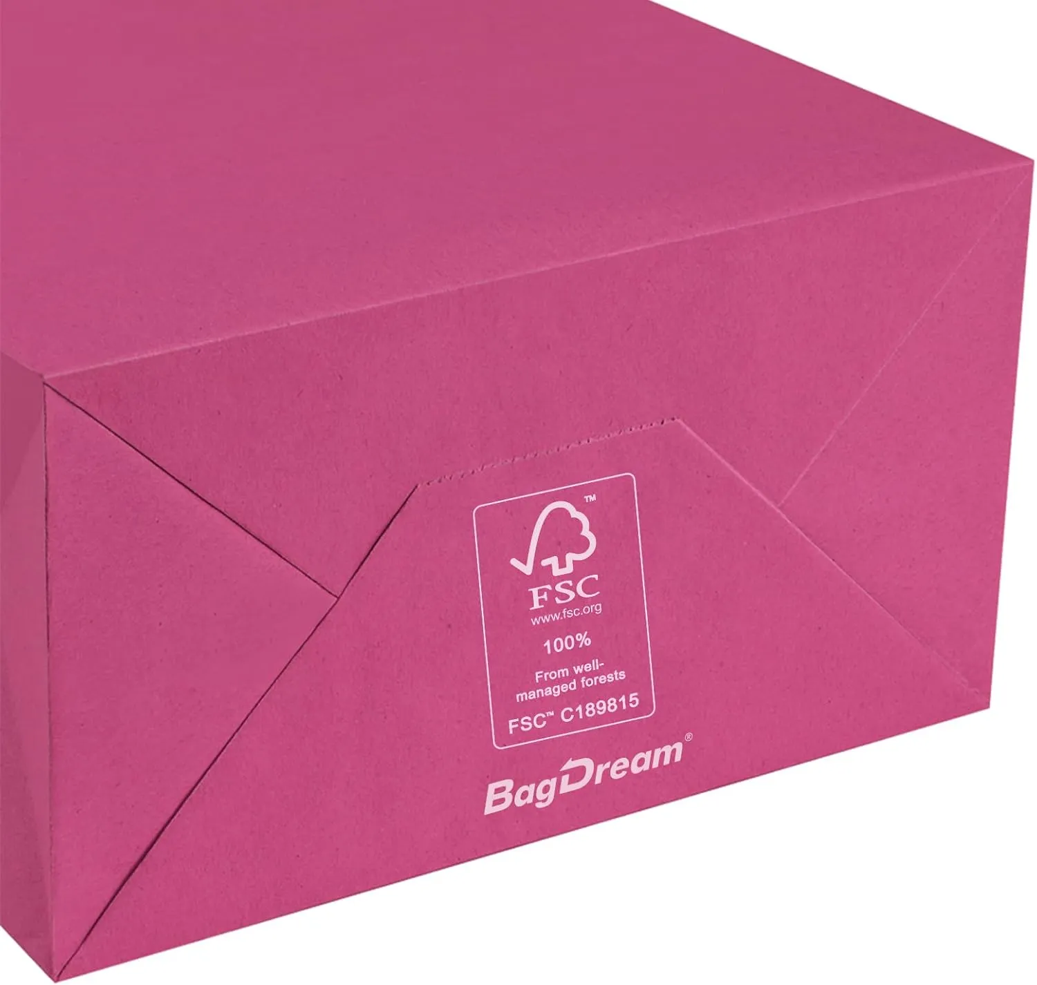 BagDream 25Pcs Hot Pink Gift Bags 8x4.25x10.5 Kraft Paper Gift Bags with Handles for Shopping, Small Business, Retail Merchandise Grocery, Birthday Party Favor, Medium Pink Paper Sacks