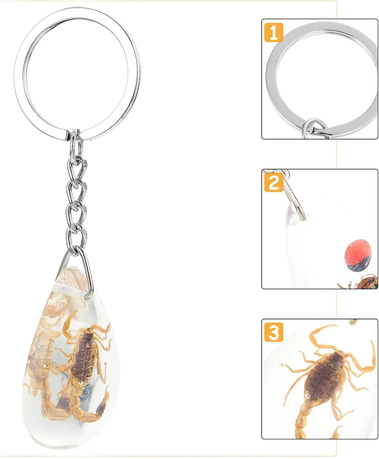 Balacoo Insect Amber Specimen Keychain - 12Pcs Creative Pendant, DIY Key Ring