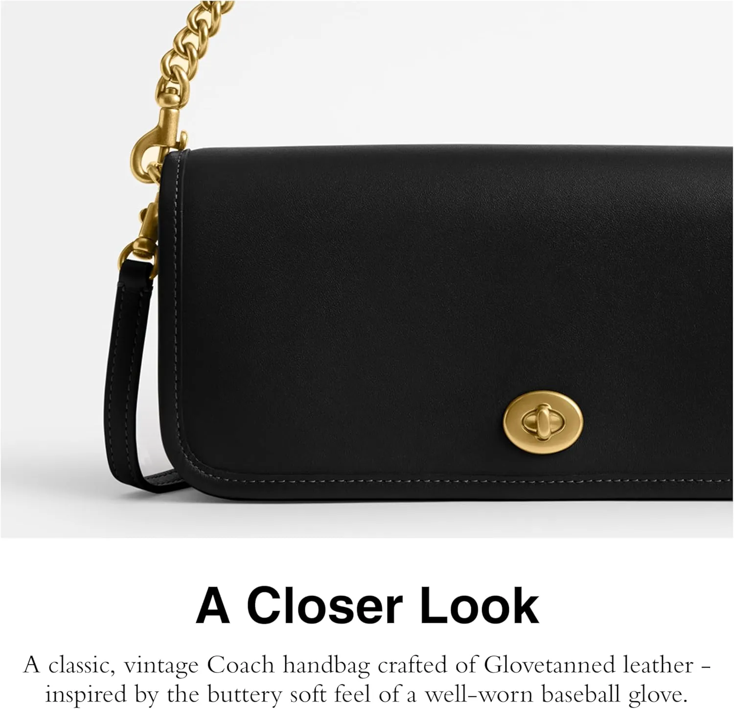 COACH Dinky Bag