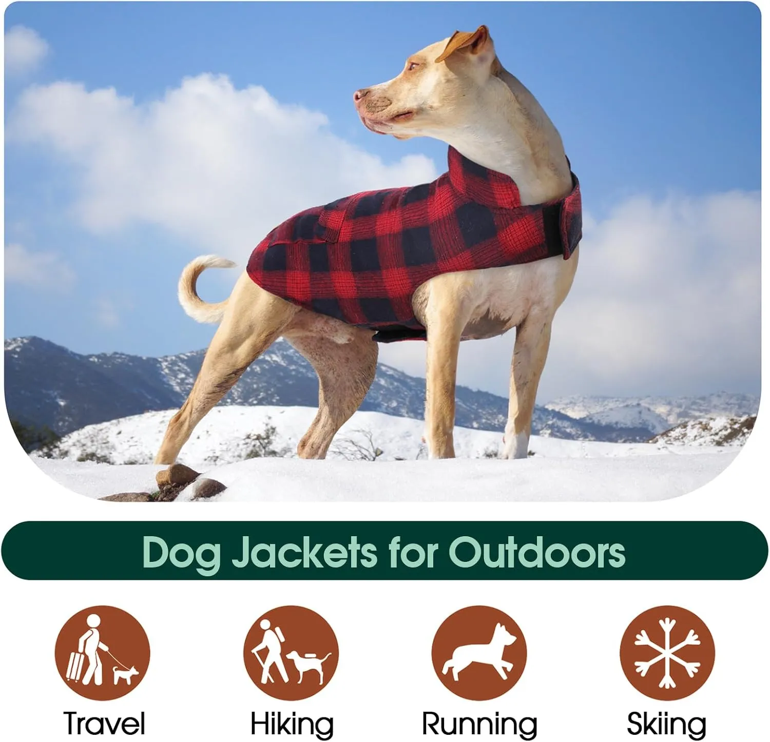 Kuoser Reversible Winter Coat, British Style Jacket for Small Medium and Large Dogs - Warm, Windproof Puppy Cold Weather Vest - Red M