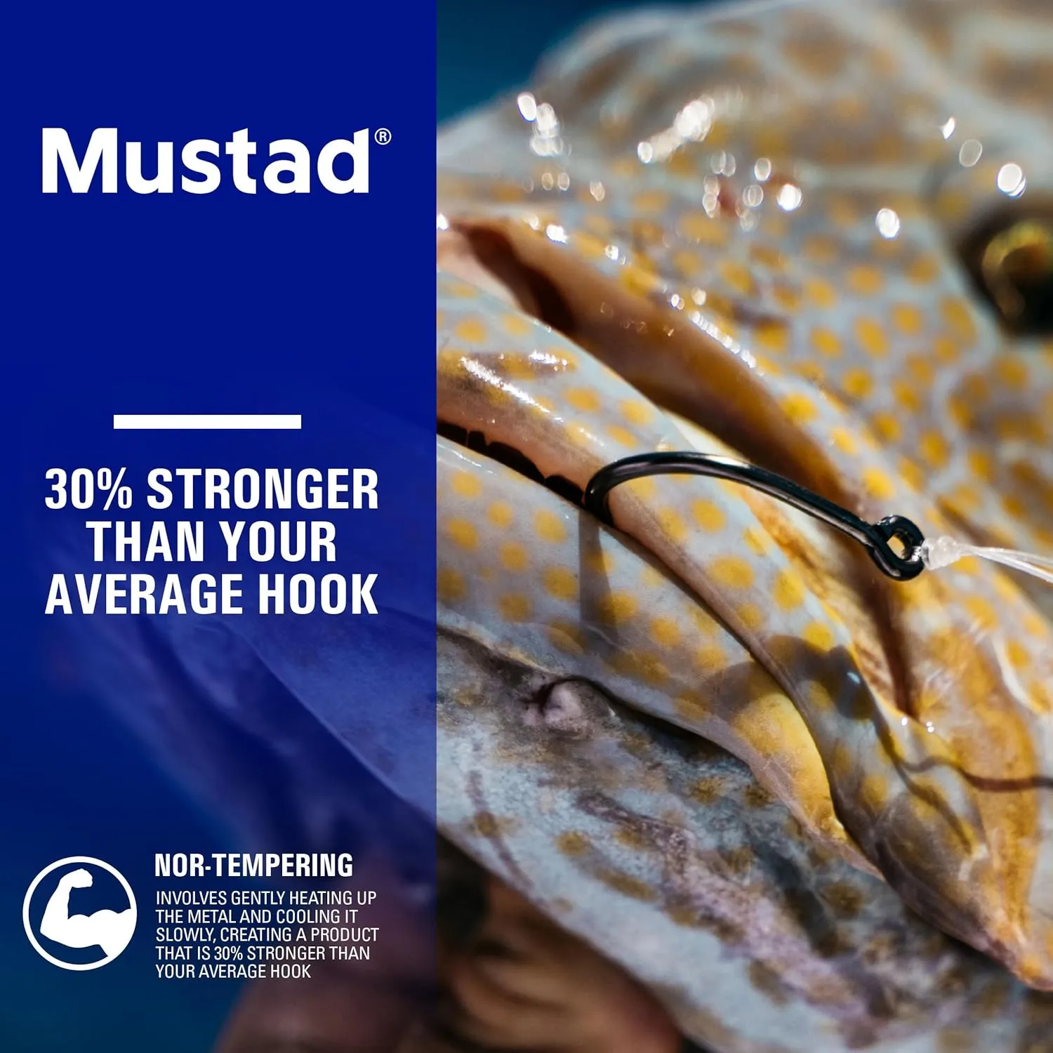 Mustad Demon Perfect Wide Gap Inline Circle Hook, 39948NP-2X Strong Fishing Hooks, Ideal for Saltwater & Freshwater Fishing, Original Patented Design - Black Nickel Finish