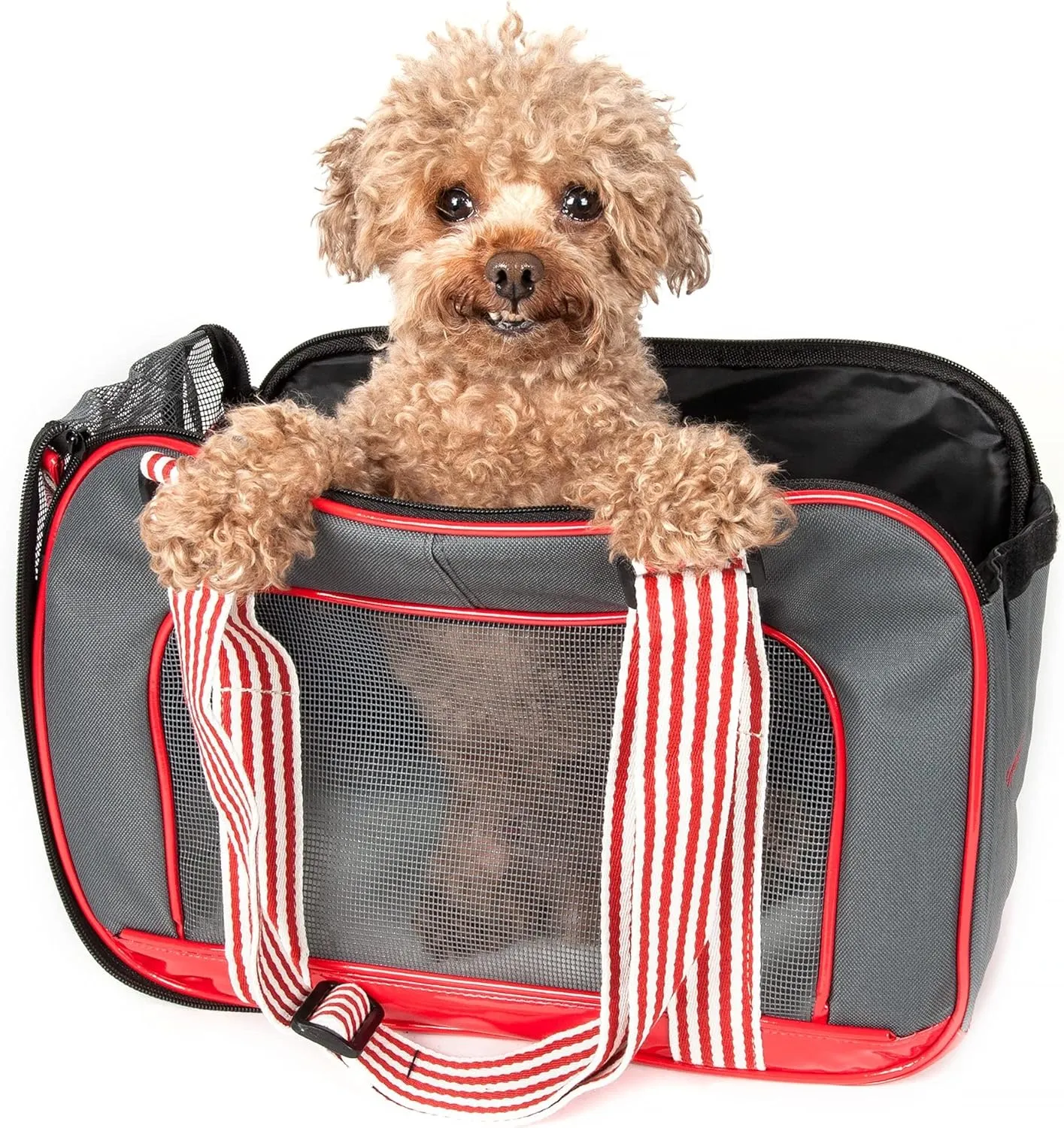 Pet Life Candy Cane Tote Pet Carrier for Dogs with Striped Shoulder Straps - Fashion Dog Carrier with Built-in Leash Holder